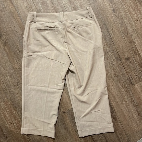 WORTHINGTON TAN DRESS CAPRIS (12) - Picture 6 of 6